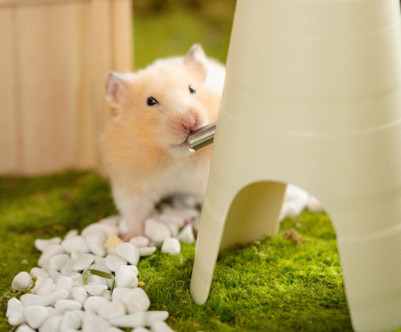 Revolutionize Your Hamster's Hydration with Our Automatic Feeder